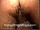 ArabStraightBoys.com_Fawzi_EnhancedSnapshots_0229.jpg