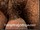 ArabStraightBoys.com_Fawzi_EnhancedSnapshots_0242.jpg
