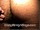ArabStraightBoys.com_Fawzi_EnhancedSnapshots_0254.jpg