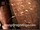 ArabStraightBoys.com_Fawzi_EnhancedSnapshots_0263.jpg