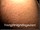 ArabStraightBoys.com_Fawzi_EnhancedSnapshots_0267.jpg