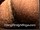 ArabStraightBoys.com_Fawzi_EnhancedSnapshots_0294.jpg