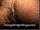ArabStraightBoys.com_Fawzi_EnhancedSnapshots_0299.jpg