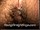ArabStraightBoys.com_Fawzi_EnhancedSnapshots_0310.jpg