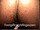 ArabStraightBoys.com_Fawzi_EnhancedSnapshots_0347.jpg