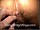 ArabStraightBoys.com_Fawzi_EnhancedSnapshots_0457.jpg