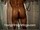 ArabStraightBoys.com_Fawzi_EnhancedSnapshots_0619.jpg
