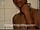 ArabStraightBoys.com_Fawzi_EnhancedSnapshots_0703.jpg