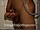 ArabStraightBoys.com_Fawzi_EnhancedSnapshots_0706.jpg