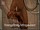 ArabStraightBoys.com_Fawzi_EnhancedSnapshots_0732.jpg