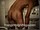 ArabStraightBoys.com_Fawzi_EnhancedSnapshots_0832.jpg