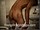 ArabStraightBoys.com_Fawzi_EnhancedSnapshots_0833.jpg
