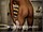 ArabStraightBoys.com_Fawzi_EnhancedSnapshots_0836.jpg
