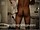 ArabStraightBoys.com_Fawzi_EnhancedSnapshots_0837.jpg