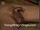 ArabStraightBoys.com_Fawzi_EnhancedSnapshots_0883.jpg