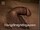 ArabStraightBoys.com_Fawzi_EnhancedSnapshots_0885.jpg