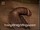 ArabStraightBoys.com_Fawzi_EnhancedSnapshots_0886.jpg