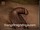 ArabStraightBoys.com_Fawzi_EnhancedSnapshots_0887.jpg