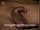 ArabStraightBoys.com_Fawzi_EnhancedSnapshots_0888.jpg