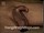 ArabStraightBoys.com_Fawzi_EnhancedSnapshots_0889.jpg