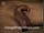 ArabStraightBoys.com_Fawzi_EnhancedSnapshots_0891.jpg