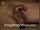 ArabStraightBoys.com_Fawzi_EnhancedSnapshots_0892.jpg