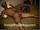 ArabStraightBoys.com_Fawzi_EnhancedSnapshots_0894.jpg