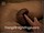 ArabStraightBoys.com_Fawzi_EnhancedSnapshots_0904.jpg