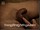 ArabStraightBoys.com_Fawzi_EnhancedSnapshots_0905.jpg