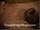 ArabStraightBoys.com_Fawzi_EnhancedSnapshots_0908.jpg