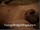 ArabStraightBoys.com_Fawzi_EnhancedSnapshots_0911.jpg