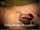 ArabStraightBoys.com_Fawzi_EnhancedSnapshots_0922.jpg