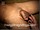 ArabStraightBoys.com_Fawzi_EnhancedSnapshots_0925.jpg