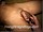 ArabStraightBoys.com_Fawzi_EnhancedSnapshots_0926.jpg
