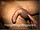 ArabStraightBoys.com_Fawzi_EnhancedSnapshots_0953.jpg