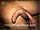 ArabStraightBoys.com_Fawzi_EnhancedSnapshots_0954.jpg