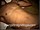 ArabStraightBoys.com_Fawzi_EnhancedSnapshots_0967.jpg