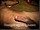 ArabStraightBoys.com_Fawzi_EnhancedSnapshots_0975.jpg