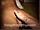 ArabStraightBoys.com_Fawzi_EnhancedSnapshots_1122.jpg