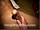 ArabStraightBoys.com_Fawzi_EnhancedSnapshots_1165.jpg