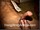 ArabStraightBoys.com_Fawzi_EnhancedSnapshots_1174.jpg