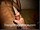ArabStraightBoys.com_Fawzi_EnhancedSnapshots_1202.jpg