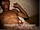 ArabStraightBoys.com_Fawzi_EnhancedSnapshots_1300.jpg
