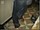 YoungStraightBoys.com_Wassim_1(1800Kbps)034.jpg