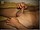 YoungStraightBoys.com_Wassim_2(1800Kbps)017.jpg