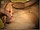 YoungStraightBoys.com_Wassim_2(1800Kbps)058.jpg