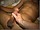 YoungStraightBoys.com_Wassim_2(1800Kbps)069.jpg