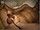 YoungStraightBoys.com_Wassim_2(1800Kbps)076.jpg