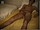 YoungStraightBoys.com_Wassim_2(1800Kbps)080.jpg