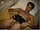 YoungStraightBoys.com_Wassim_2(1800Kbps)190.jpg